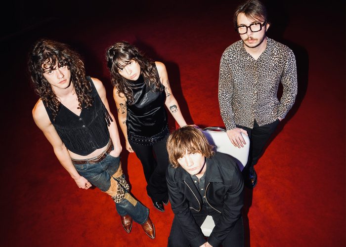 dynamite shakers